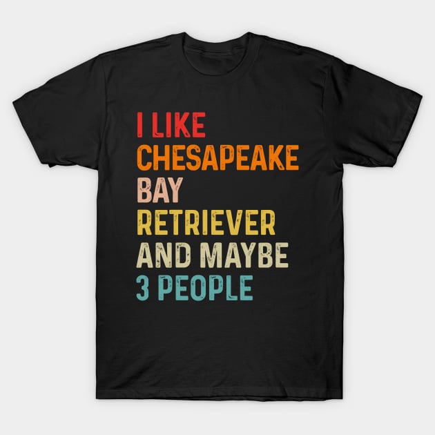 I Like Chesapeake Bay Retriever And Maybe 3 People Retro Vintage T-Shirt by HeroGifts